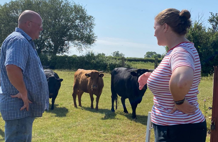 Faye with a farmer and dexters