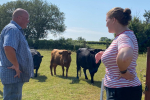 Faye with a farmer and dexters